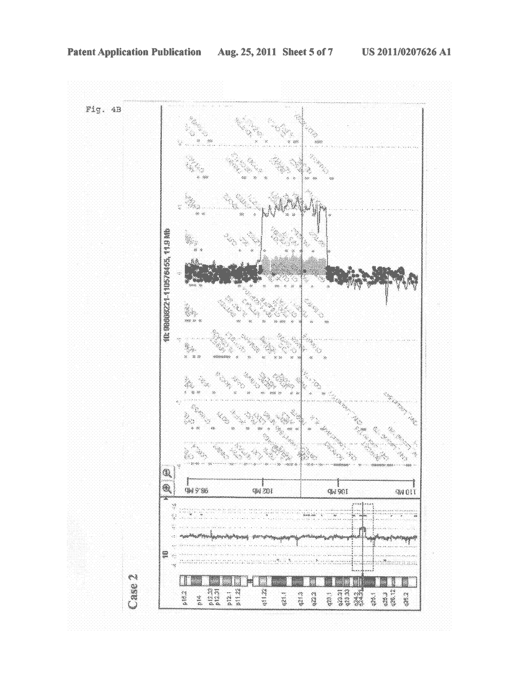 METHOD FOR DETECTING CHROMOSOME DEFICIENCIES FOR  CONGENITAL ABNORMALITY - diagram, schematic, and image 06