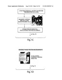 EX VIVO THERAPEUTICS SCREENING OF LIVING BONE MARROW CELLS FOR MULTIPLE     MYELOMA diagram and image