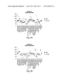 EX VIVO THERAPEUTICS SCREENING OF LIVING BONE MARROW CELLS FOR MULTIPLE     MYELOMA diagram and image