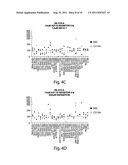 EX VIVO THERAPEUTICS SCREENING OF LIVING BONE MARROW CELLS FOR MULTIPLE     MYELOMA diagram and image