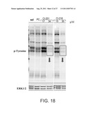 OXIDIZED LIPID COMPOUNDS AND USES THEREOF diagram and image