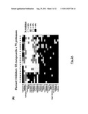 Inhibitors of Human Cathepsin L, Cathepsin B, and Cathepsin S diagram and image