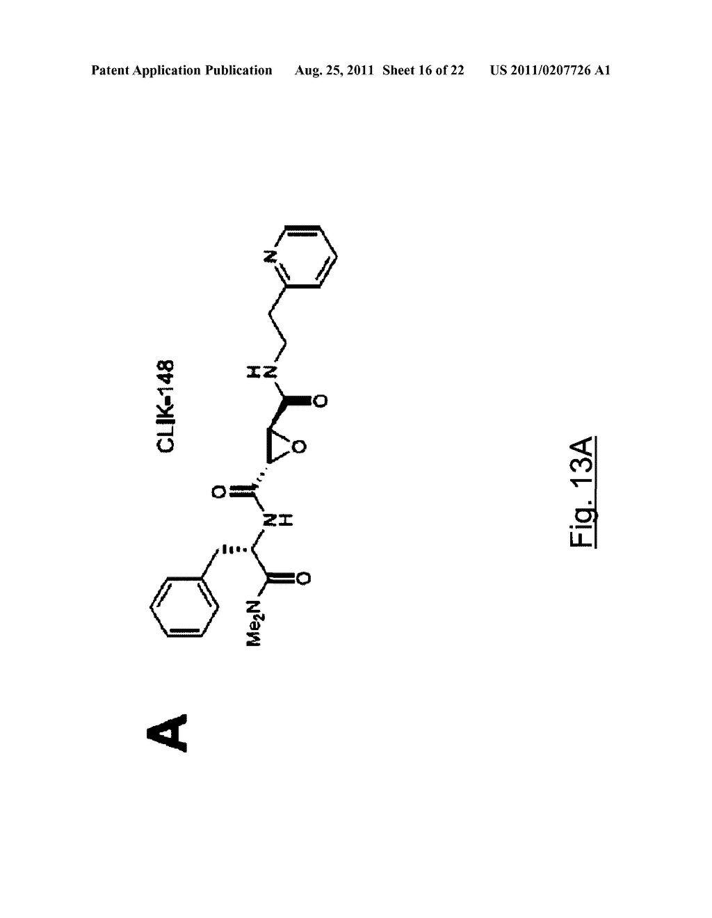 Inhibitors of Human Cathepsin L, Cathepsin B, and Cathepsin S - diagram, schematic, and image 17