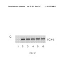 LONG-CHAIN CARBOXYCHROMANOLS AND ANALOGS FOR USE AS ANTI-INFLAMMATORY     AGENTS diagram and image