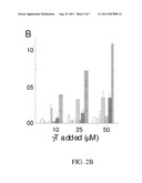 LONG-CHAIN CARBOXYCHROMANOLS AND ANALOGS FOR USE AS ANTI-INFLAMMATORY     AGENTS diagram and image