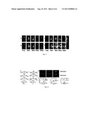 Curcumin Derivatives for Amyloid-Beta Plaque Imaging diagram and image