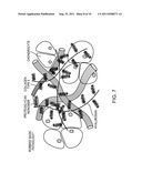 DEVICE AND METHOD FOR REGENERATIVE THERAPY BY HIGH INTENSITY LASER THERAPY diagram and image