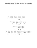 Method, Apparatus, and Interface For Creating A Chain of Binary Attribute     Relations diagram and image