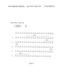 Human Monoclonal Antibodies To Programmed Death Ligand 1 (PD-L1) diagram and image