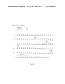 Human Monoclonal Antibodies To Programmed Death Ligand 1 (PD-L1) diagram and image