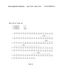 Human Monoclonal Antibodies To Programmed Death Ligand 1 (PD-L1) diagram and image