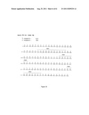 Human Monoclonal Antibodies To Programmed Death Ligand 1 (PD-L1) diagram and image