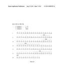 Human Monoclonal Antibodies To Programmed Death Ligand 1 (PD-L1) diagram and image