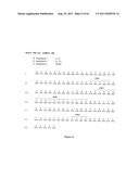 Human Monoclonal Antibodies To Programmed Death Ligand 1 (PD-L1) diagram and image