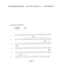 Human Monoclonal Antibodies To Programmed Death Ligand 1 (PD-L1) diagram and image