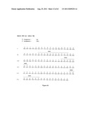 Human Monoclonal Antibodies To Programmed Death Ligand 1 (PD-L1) diagram and image