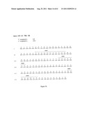 Human Monoclonal Antibodies To Programmed Death Ligand 1 (PD-L1) diagram and image