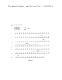 Human Monoclonal Antibodies To Programmed Death Ligand 1 (PD-L1) diagram and image