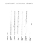 Human Monoclonal Antibodies To Programmed Death Ligand 1 (PD-L1) diagram and image