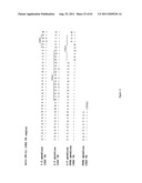 Human Monoclonal Antibodies To Programmed Death Ligand 1 (PD-L1) diagram and image