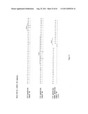 Human Monoclonal Antibodies To Programmed Death Ligand 1 (PD-L1) diagram and image