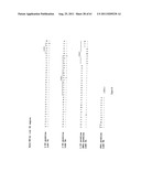 Human Monoclonal Antibodies To Programmed Death Ligand 1 (PD-L1) diagram and image