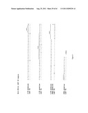 Human Monoclonal Antibodies To Programmed Death Ligand 1 (PD-L1) diagram and image