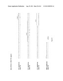 Human Monoclonal Antibodies To Programmed Death Ligand 1 (PD-L1) diagram and image