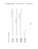 Human Monoclonal Antibodies To Programmed Death Ligand 1 (PD-L1) diagram and image