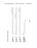 Human Monoclonal Antibodies To Programmed Death Ligand 1 (PD-L1) diagram and image