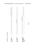 Human Monoclonal Antibodies To Programmed Death Ligand 1 (PD-L1) diagram and image