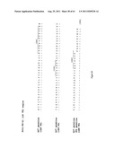 Human Monoclonal Antibodies To Programmed Death Ligand 1 (PD-L1) diagram and image