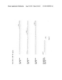 Human Monoclonal Antibodies To Programmed Death Ligand 1 (PD-L1) diagram and image