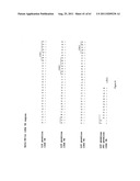 Human Monoclonal Antibodies To Programmed Death Ligand 1 (PD-L1) diagram and image