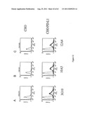 Human Monoclonal Antibodies To Programmed Death Ligand 1 (PD-L1) diagram and image