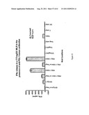 Human Monoclonal Antibodies To Programmed Death Ligand 1 (PD-L1) diagram and image