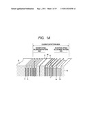 CALIBRATION STANDARD MEMBER, METHOD FOR MANUFACTURING THE MEMBER AND     SCANNING ELECTRONIC MICROSCOPE USING THE MEMBER diagram and image