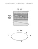 CALIBRATION STANDARD MEMBER, METHOD FOR MANUFACTURING THE MEMBER AND     SCANNING ELECTRONIC MICROSCOPE USING THE MEMBER diagram and image