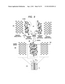 CALIBRATION STANDARD MEMBER, METHOD FOR MANUFACTURING THE MEMBER AND     SCANNING ELECTRONIC MICROSCOPE USING THE MEMBER diagram and image