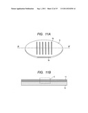 CALIBRATION STANDARD MEMBER, METHOD FOR MANUFACTURING THE MEMBER AND     SCANNING ELECTRONIC MICROSCOPE USING THE MEMBER diagram and image