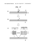 CALIBRATION STANDARD MEMBER, METHOD FOR MANUFACTURING THE MEMBER AND     SCANNING ELECTRONIC MICROSCOPE USING THE MEMBER diagram and image