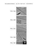TUBULAR NANOSTRUCTURES, PROCESSES OF PREPARING SAME AND DEVICES MADE     THEREFROM diagram and image