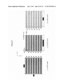 APPARATUS HAVING MUSHROOM STRUCTURES diagram and image