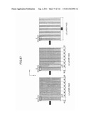 APPARATUS HAVING MUSHROOM STRUCTURES diagram and image