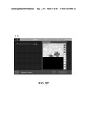 Showing Skin Lesion Information diagram and image