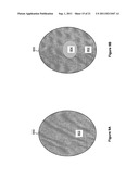 Methods and Systems for Imaging and Modeling Skin Using Polarized Lighting diagram and image