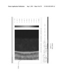 DUAL-IMAGER BIOMETRIC SENSOR diagram and image