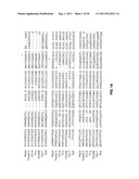 TADG-15: an extracellular serine protease overexpossed in carcinomas diagram and image