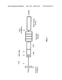 TADG-15: an extracellular serine protease overexpossed in carcinomas diagram and image