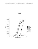 Antibody Fc Mutants with Ablated Effector Functions diagram and image